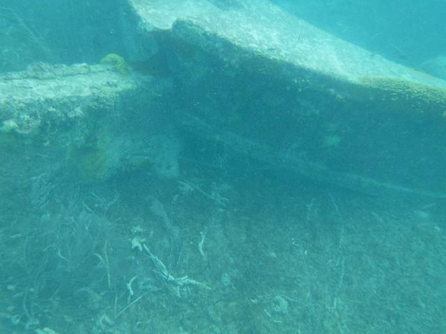 S0012146.JPG