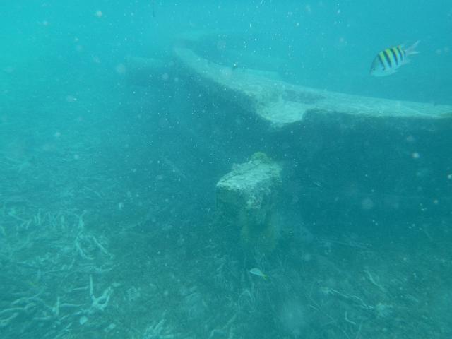 S0022147.JPG