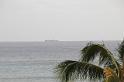 DJK_4884